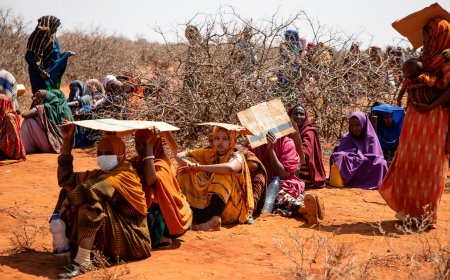 UN Warns 6 Million Face Hunger Emergency in Somalia