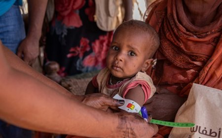 Sudan: Over 19 Million Face Acute Hunger as Famine Risk Stands