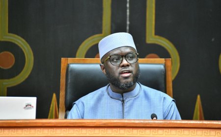 Senegal Assembly Speaker Ndiaye Resigns Amid Major Political Shakeup
