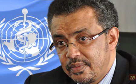 WHO Chief Demands DRC Ceasefire as Vaccine-Resistant Ebola Hits Ituri