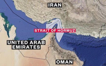International Crisis Group urges Hormuz initiative to secure global food supply