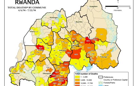Genocide against the Tutsi: A Statistical Retrospective