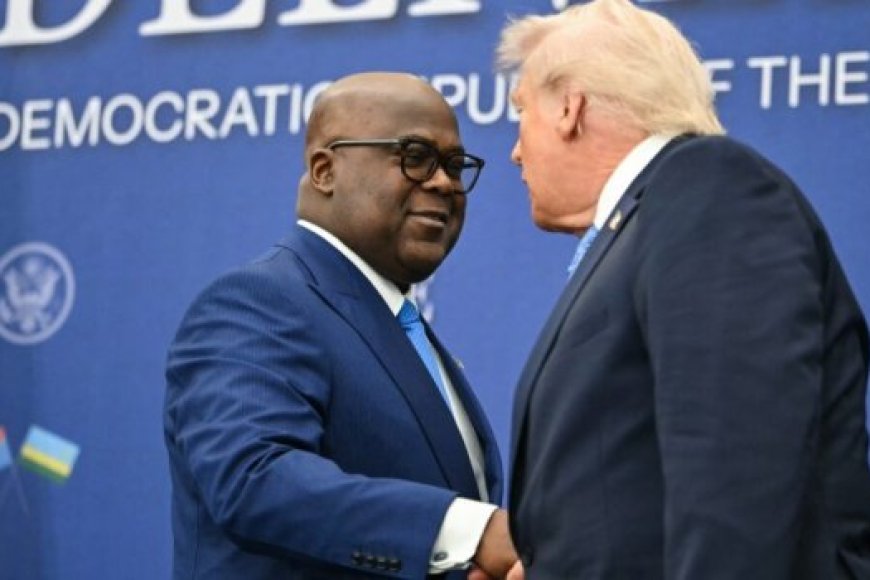 US Rejects Funding for DRC’s New Mining Protection Force