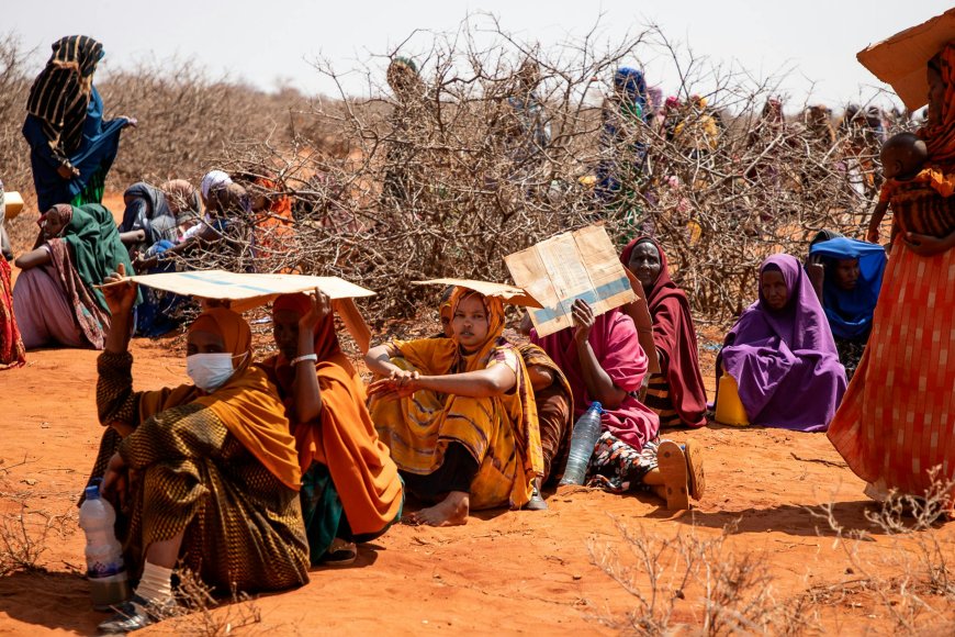 UN Warns 6 Million Face Hunger Emergency in Somalia