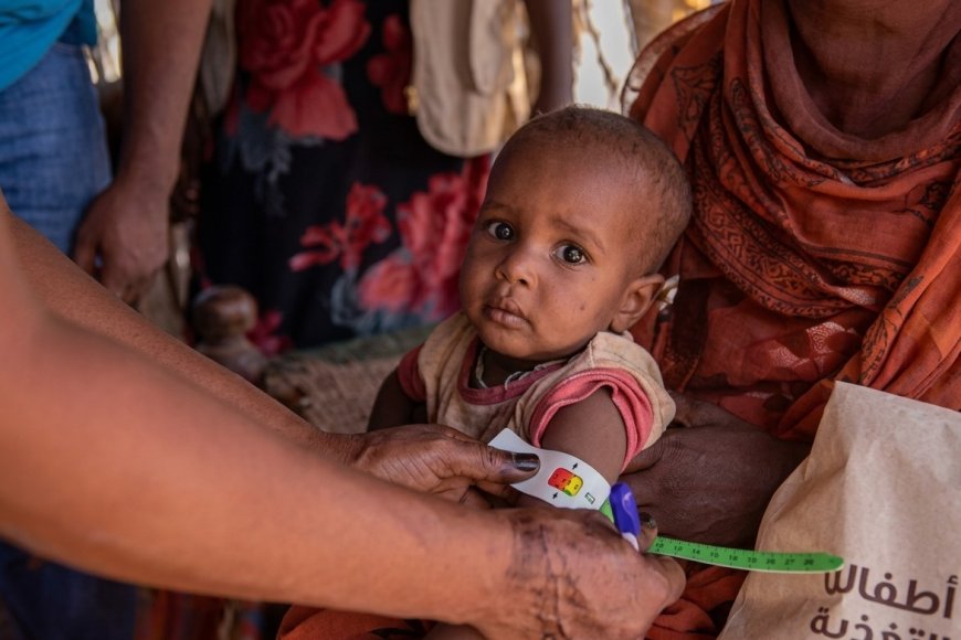 Sudan: Over 19 Million Face Acute Hunger as Famine Risk Stands