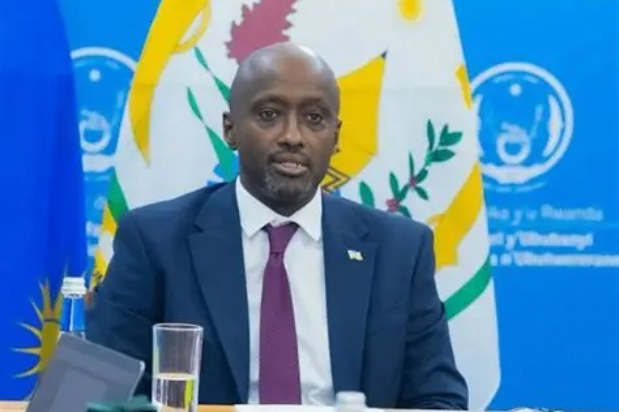 Rwanda, Mozambique Push Ahead Despite €20M EU Funding Freeze