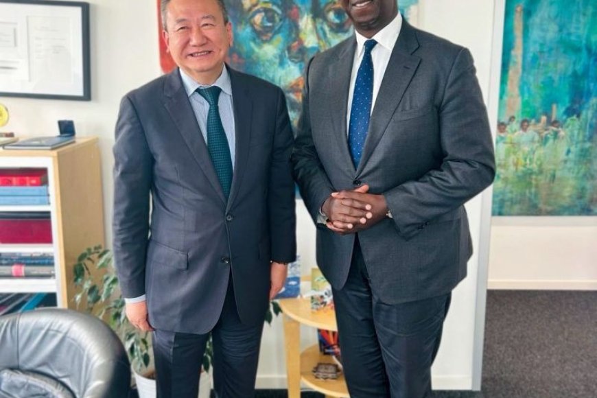 Interpeace, UN Special Envoy Push for Greater Coordination in Great Lakes Peace Efforts
