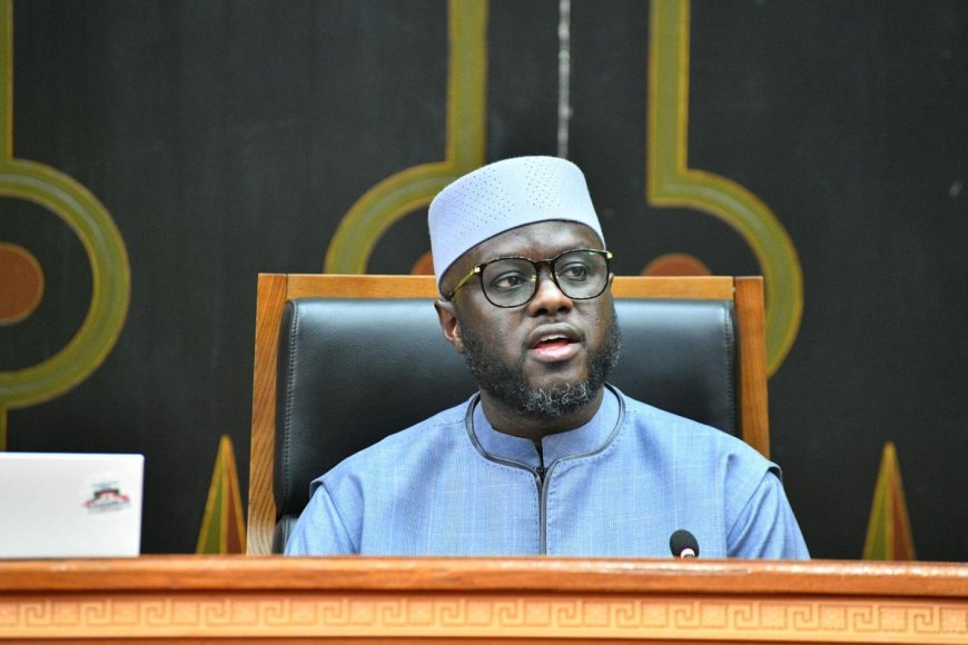 Senegal Assembly Speaker Ndiaye Resigns Amid Major Political Shakeup