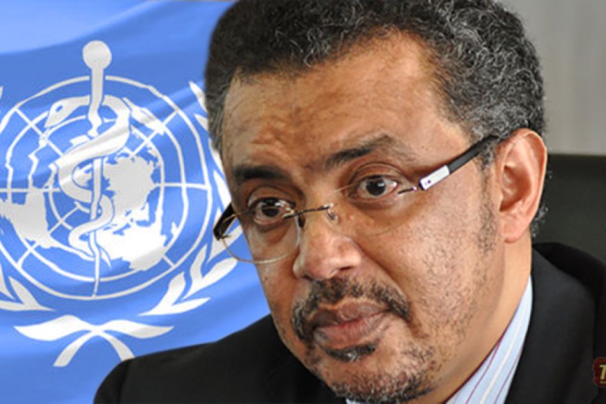 WHO Chief Demands DRC Ceasefire as Vaccine-Resistant Ebola Hits Ituri