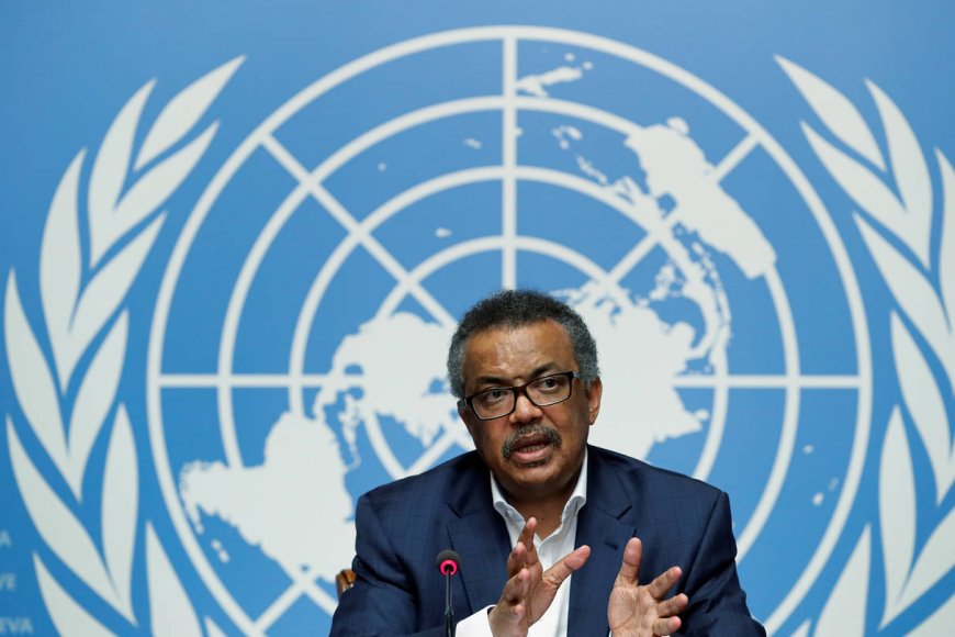 WHO Chief Arrives in DR Congo, Demands to Stop Ebola Outbreak