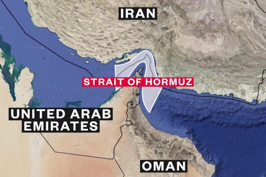 International Crisis Group urges Hormuz initiative to secure global food supply