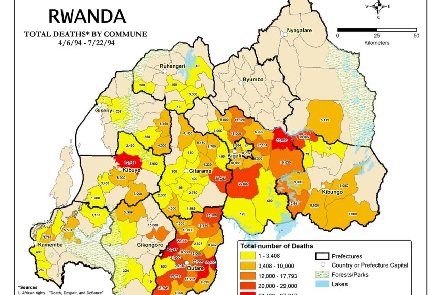 Genocide against the Tutsi: A Statistical Retrospective