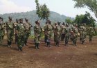 Uko FDLR yiremeye ingabo n’ubwihisho