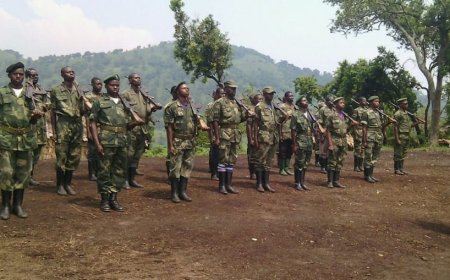 Uko FDLR yiremeye ingabo n’ubwihisho