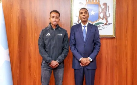 Somalia's President Meets Referee Denied U.S Entry