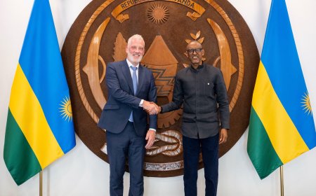 Kagame, Wood Foundation Leaders Meet Over Tea Sector Investments and Pediatric Surgery