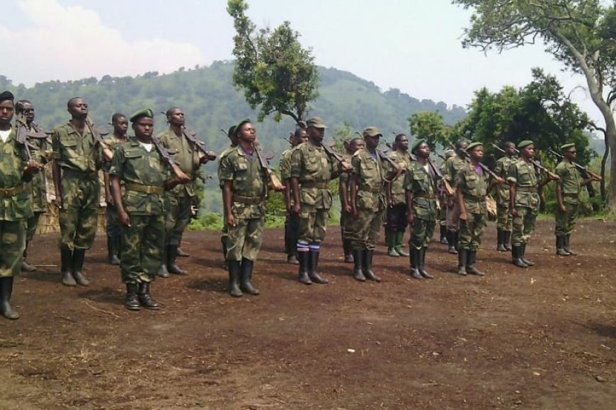 Uko FDLR yiremeye ingabo n’ubwihisho