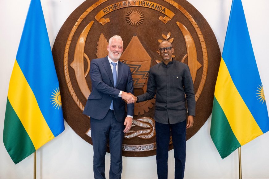 Kagame, Wood Foundation Leaders Meet Over Tea Sector Investments and Pediatric Surgery