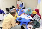 How Somali Communities Are Taking Charge of Their Own Path to Lasting Peace