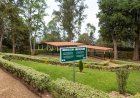 Could a Walk Through Mulindi Explain How Rwanda’s Liberation Was Planned?
