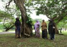 How Somali women are leading community reconciliation, peacebuilding