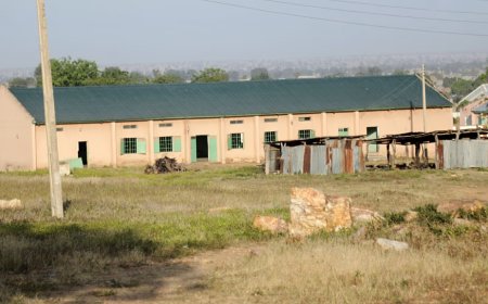 37 Students Missing After Jihadists Raid Northeast Nigeria School, Kill Three