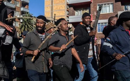 Nigeria seeks compensation for property left by citizens in South Africa