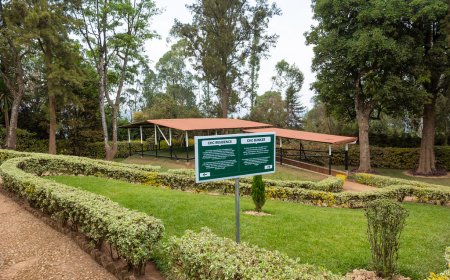 Could a Walk Through Mulindi Explain How Rwanda’s Liberation Was Planned?