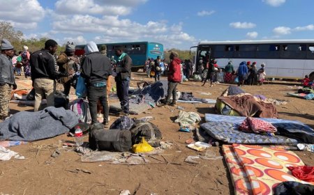 South Africa: Coalition calls for stronger protection of documented foreign nationals