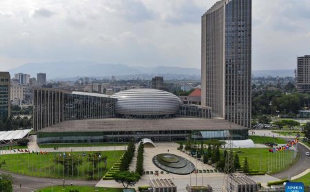 AU, Germany Agree to Deepen Security Cooperation as Regional Conflicts Escalate