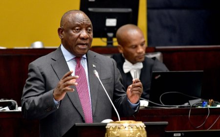 Court Halts Ramaphosa Impeachment Inquiry Over ‘Farmgate’ Scandal
