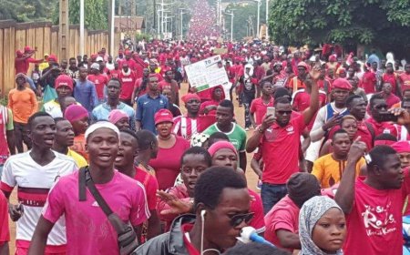 Togo Opposition Demands Return to Old Constitution