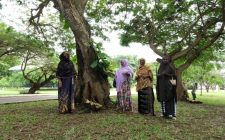 How Somali women are leading community reconciliation, peacebuilding