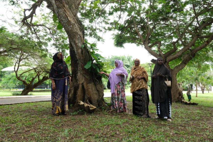 How Somali women are leading community reconciliation, peacebuilding