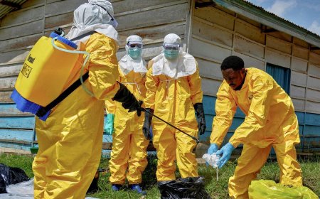 DRC Ebola outbreak becomes country’s largest as deaths rise above 1,500