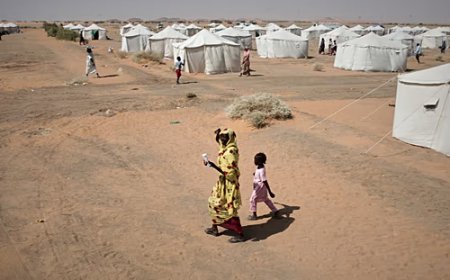 Sudan army, RSF fail to agree on truce